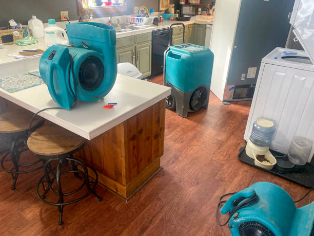 Best Professional water damage repair  in Neosho, MO