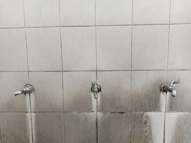 Best 24-hour water damage restoration  in Neosho, MO
