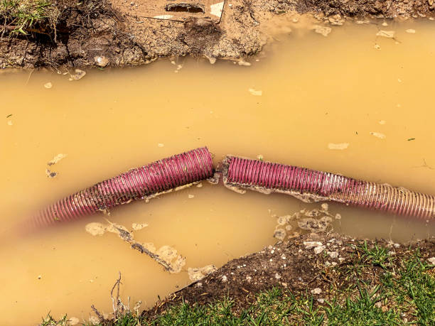 Best Water damage restoration process  in Neosho, MO